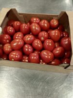 Томат сливовидный красный тепличный