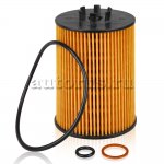 Фильтр масляный BMW 5(E60) 4.4 03>/7(E65) 3.5-4.4 01>/X5(E53) 4.4- GANZ GIR01305