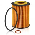 Фильтр масляный BMW E60/E65/X5(E70) 4.0/4.8/6.0L mot.N62/N73 GANZ GIR01265