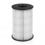 Фильтр масляный BMW F10/GT11/F01/X5(E70)/X6(E71) GANZ GIR01267