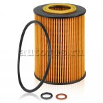 Фильтр масляный BMW X5 N62/E60/65 03-> GANZ GIR01262