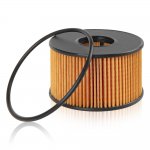 Фильтр масляный FORD Mondeo III/Transit mot.2,0TDCI/2,2TDCI GANZ GIR01135