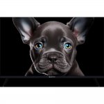 Topdevice 32″ TDTV32CS08F_BK/FHD/VA/Smart SBER/1-8 Гб/BT/60Гц/черный