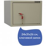 Сейф мебельный 240мм x 310мм x 260мм, 7кг, замков: 1/ключевой, 1 полка, BRABIX Dm D-24m