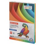 Бумага A4 80 г/м² 250 листов, радуга интенсив (5цветов) BRAUBERG Color Paper (112464)